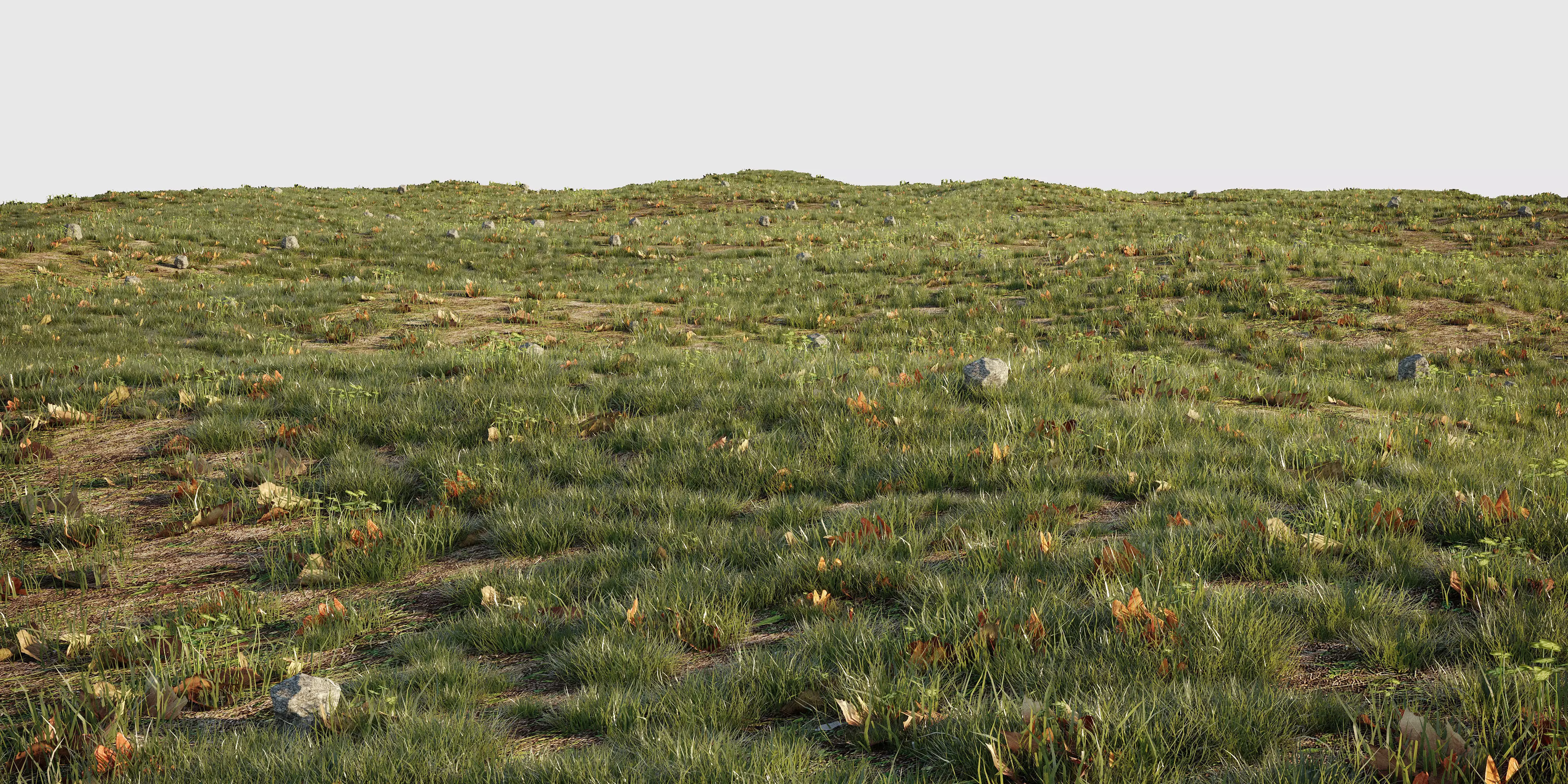 House Grass or Lawns 3D model_0