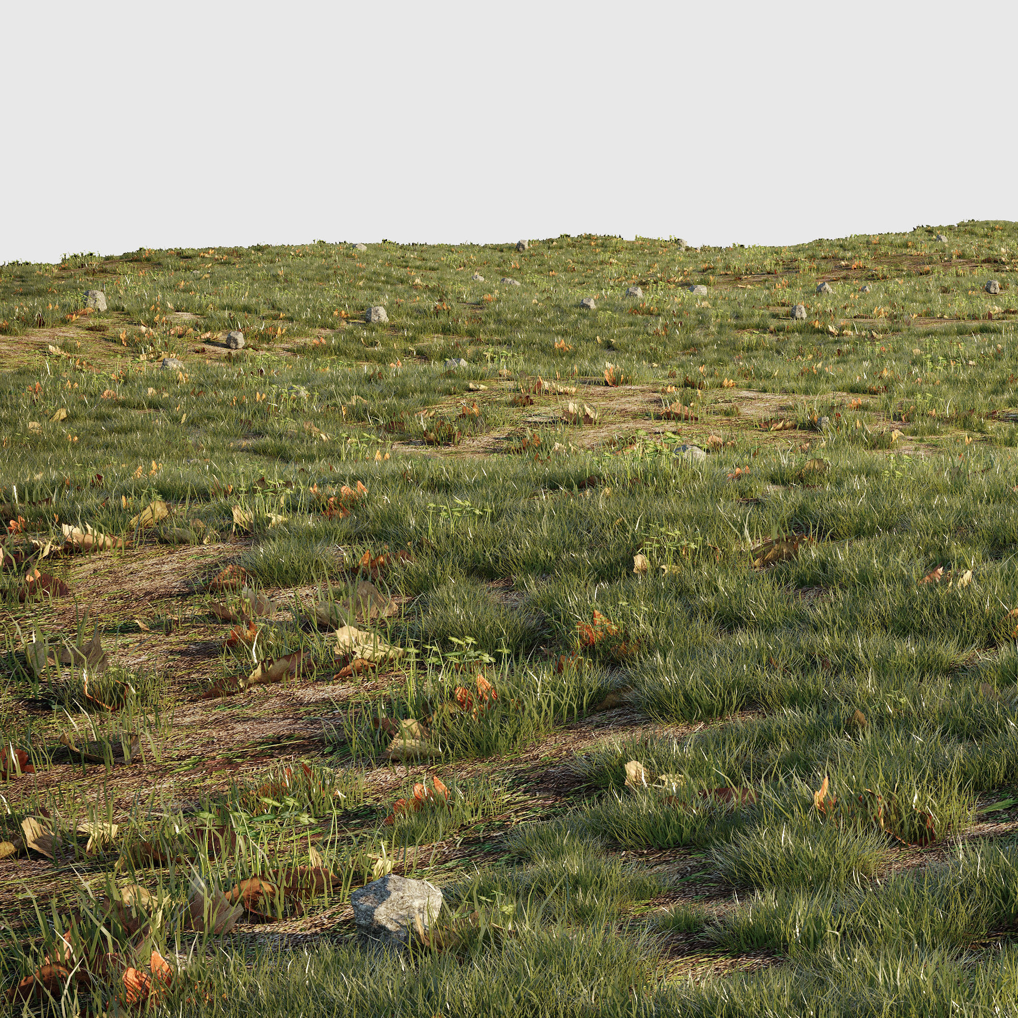 House Grass or Lawns 3D model_10