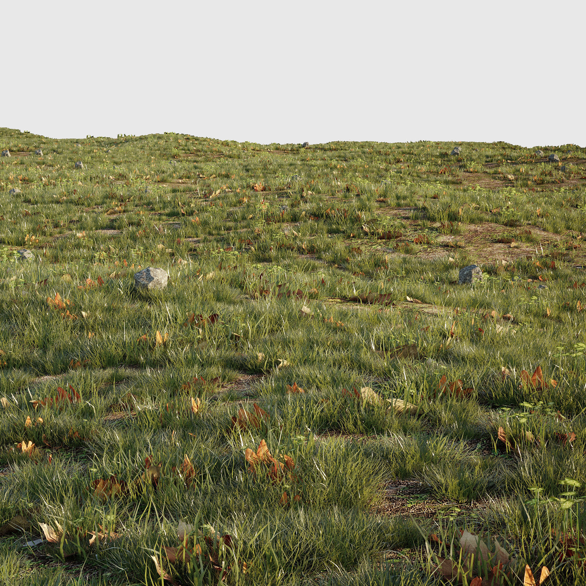 House Grass or Lawns 3D model_3