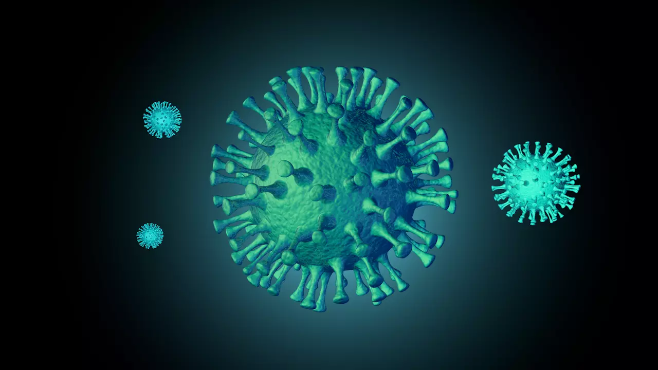 Corona Virus Animated 3D Models C4D 3D model