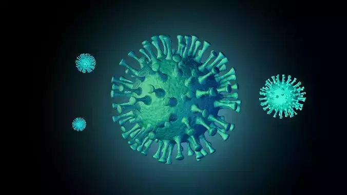 Corona Virus Animated 3D Models C4D