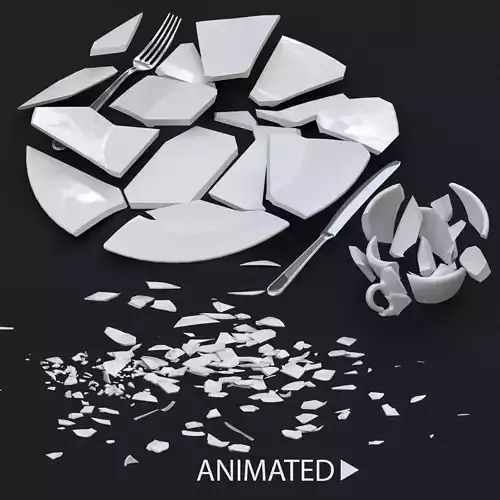 Broken Tableware 3D model