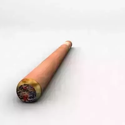 Cigar 3d max model  Low-poly 3D model
