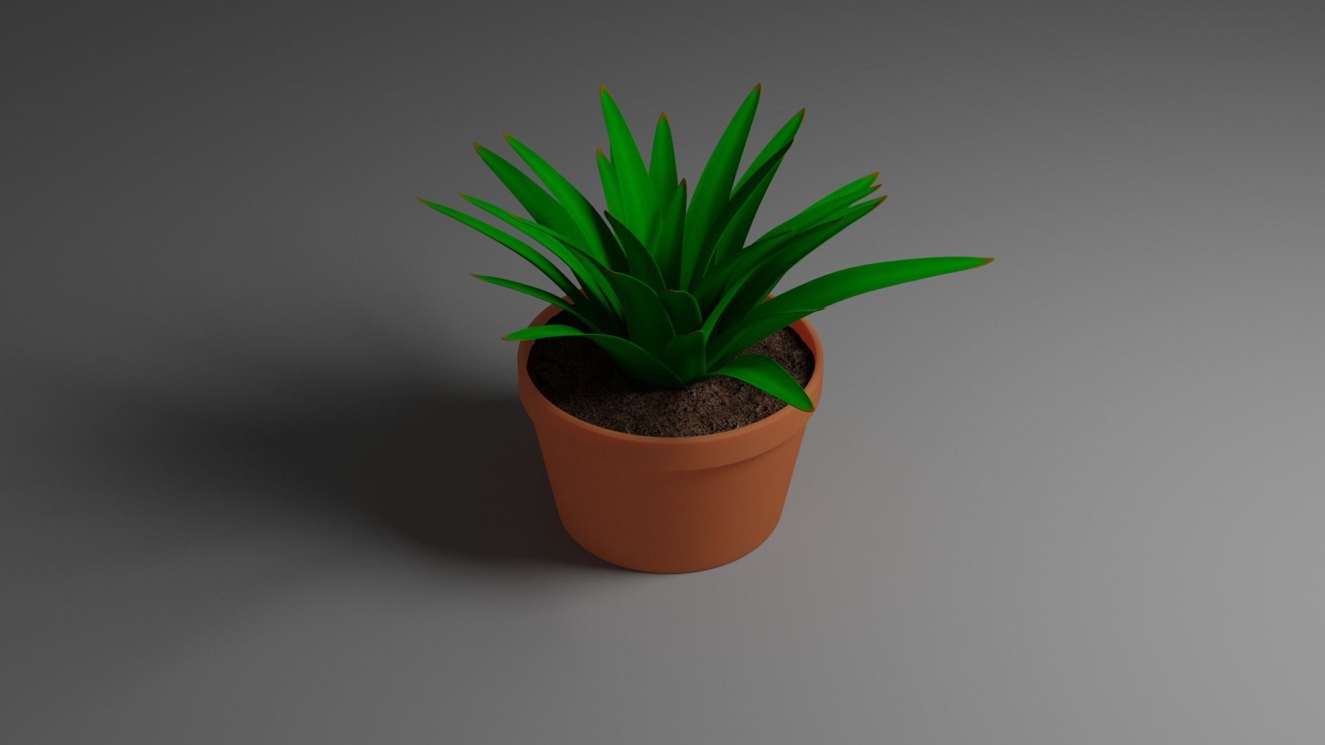 House Plant 3D model_2