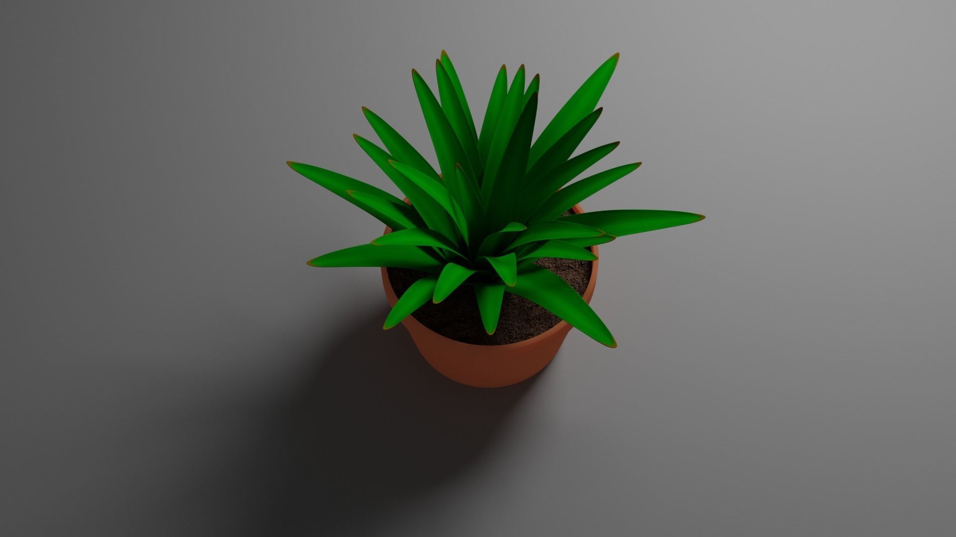 House Plant 3D model_3
