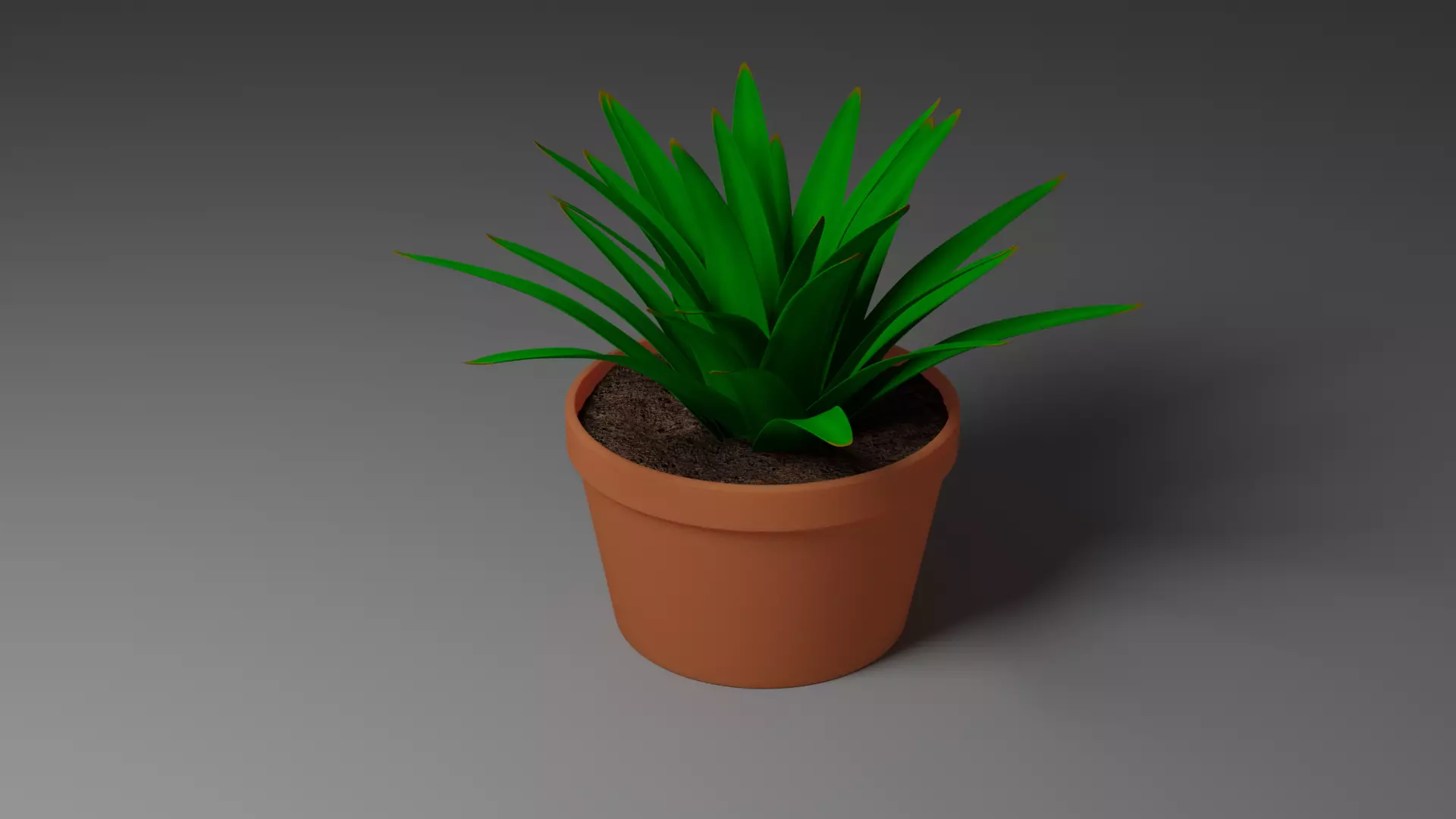 House Plant 3D model_0