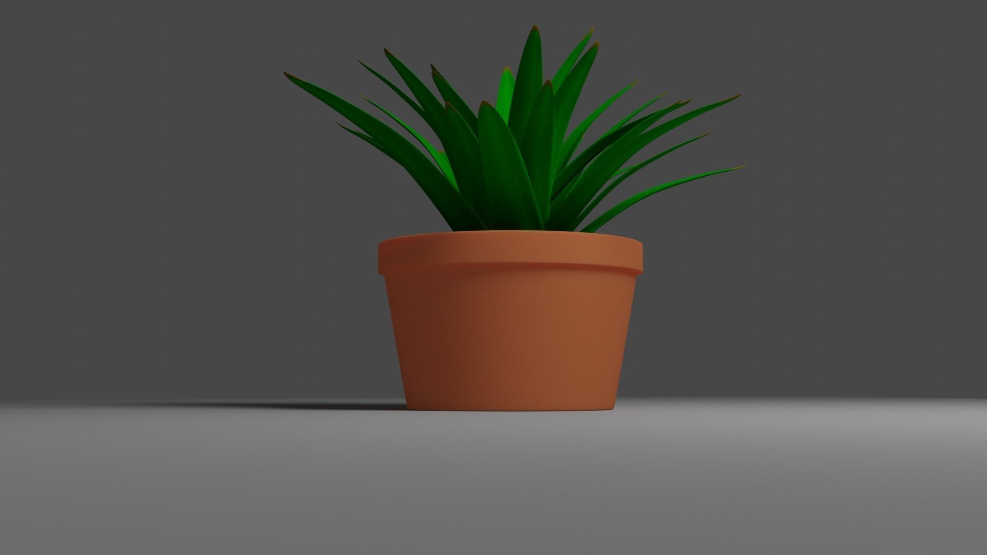 House Plant 3D model_1