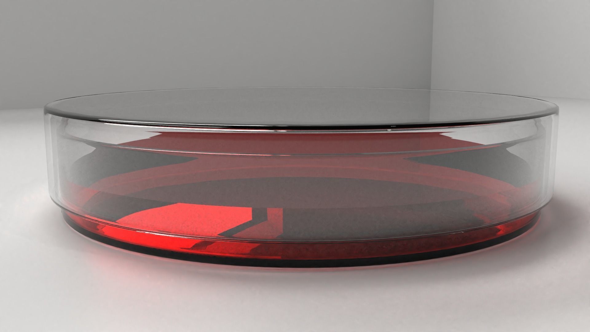 Glass Petri Dish with Agar 3D model_1