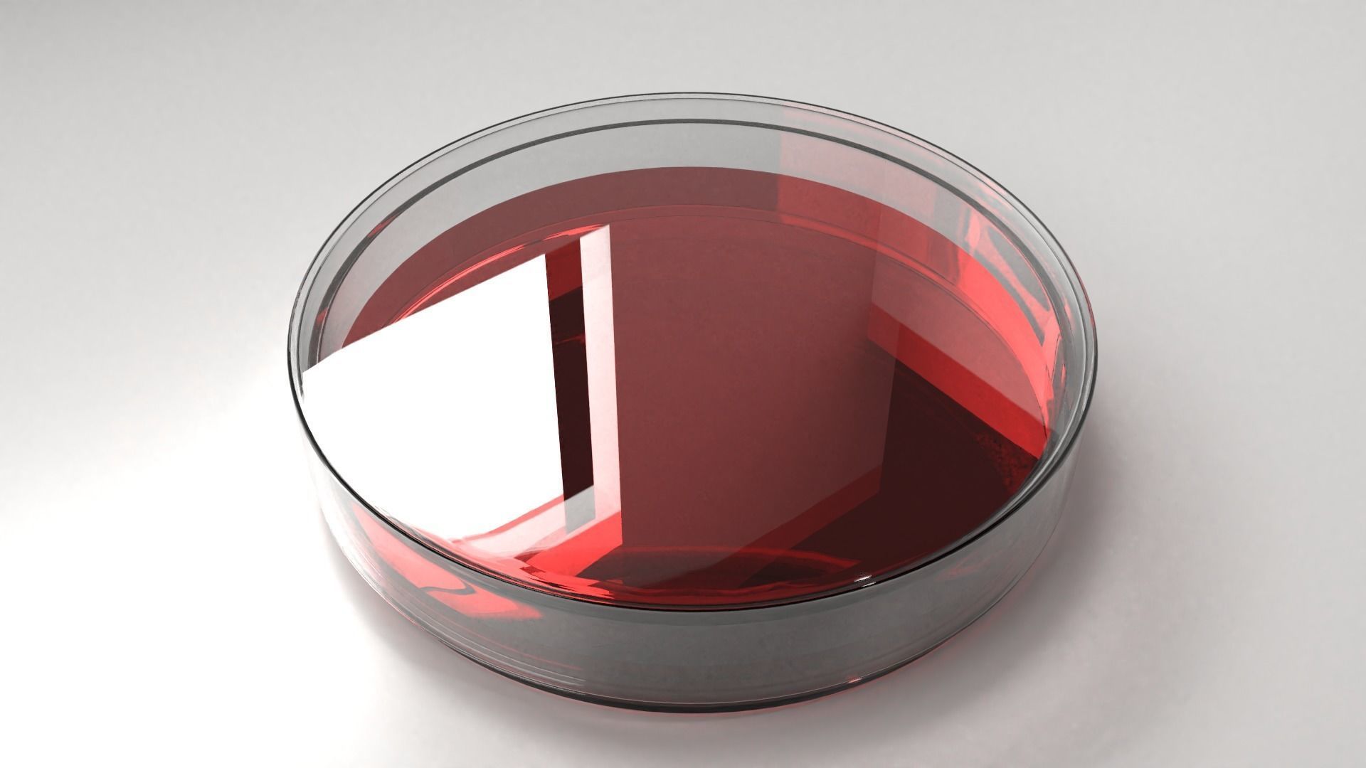 Glass Petri Dish with Agar 3D model_2