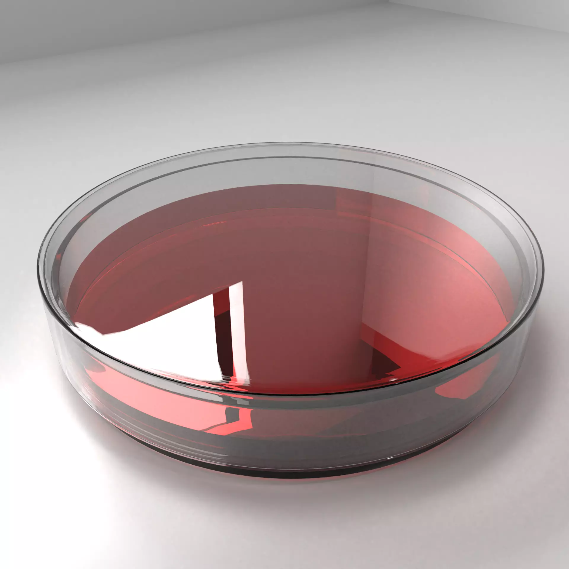Glass Petri Dish with Agar 3D model_0