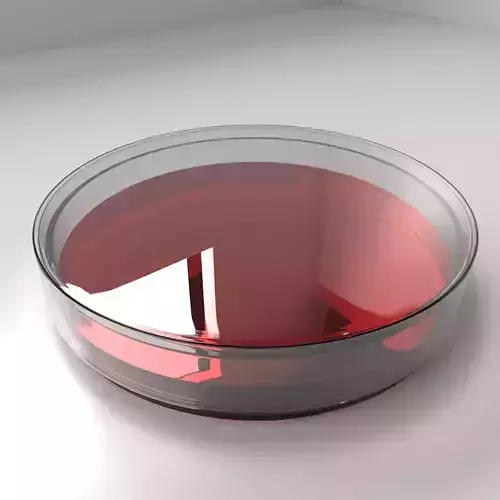 Glass Petri Dish with Agar