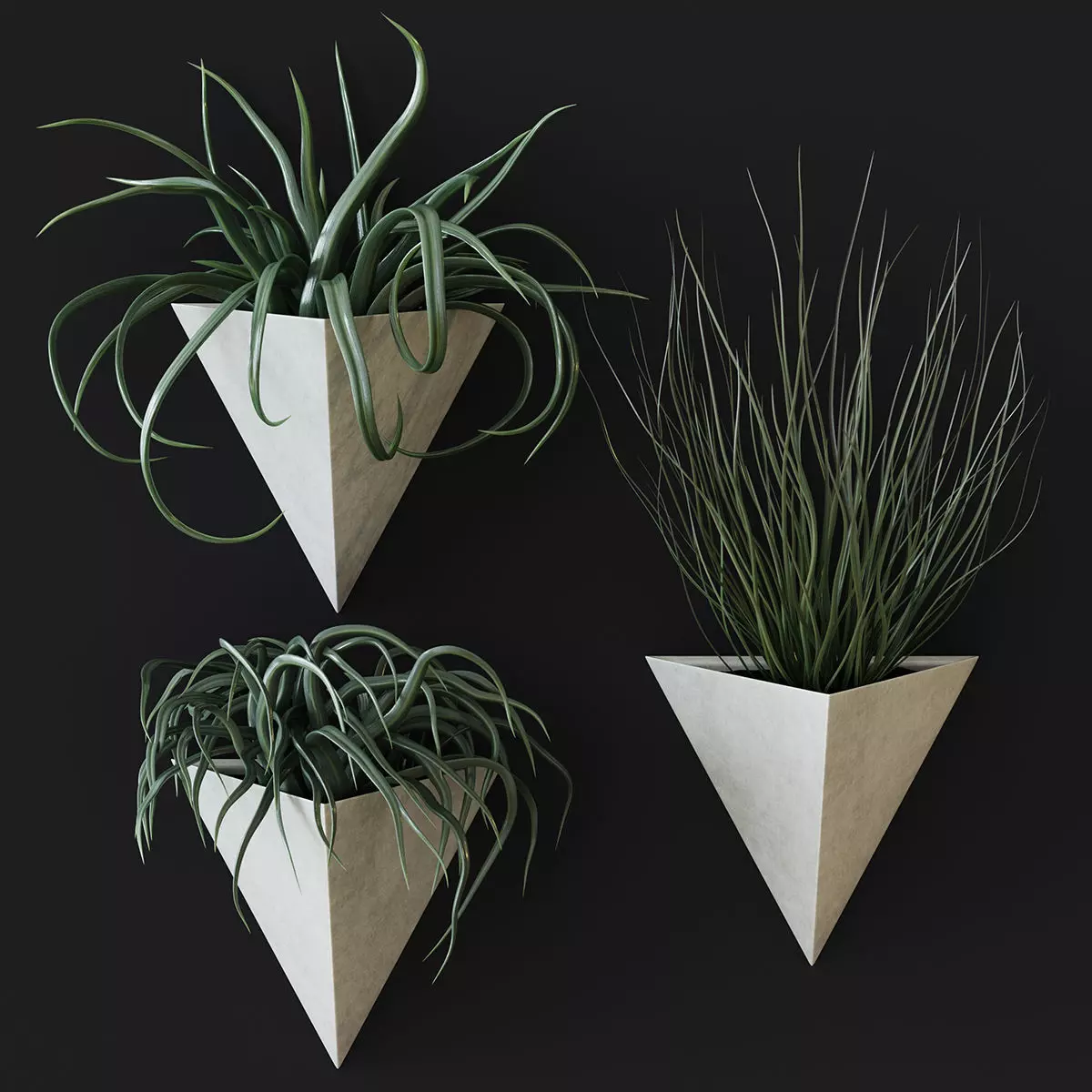 Wall plant 3D model