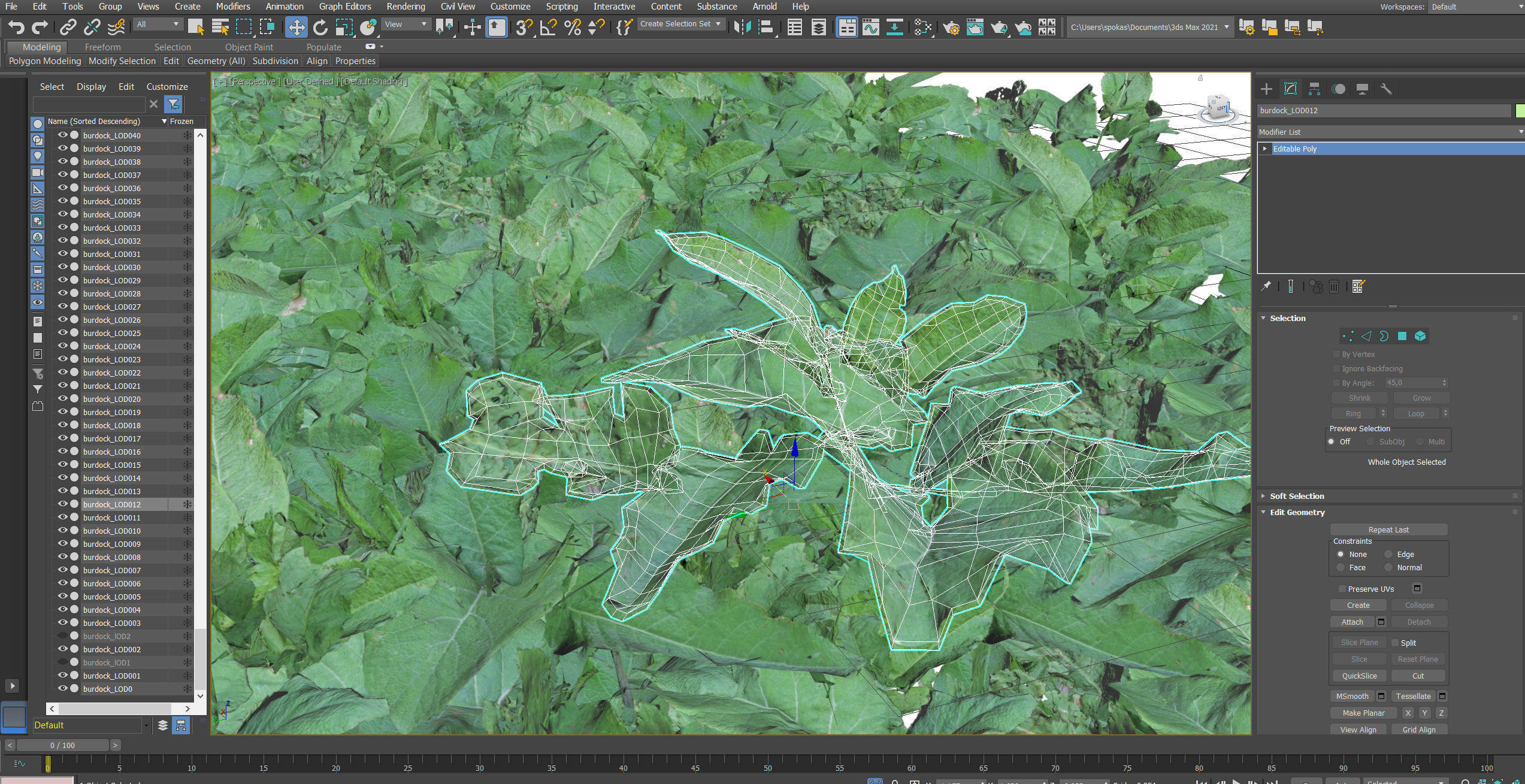 Burdock big leaves Low-poly 3D model_26