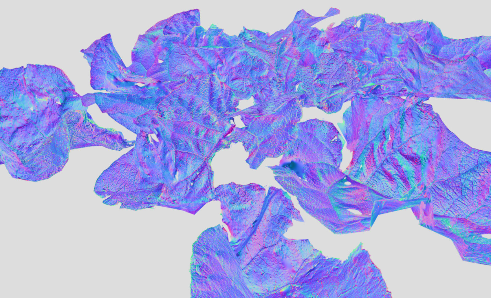 Burdock big leaves Low-poly 3D model_25