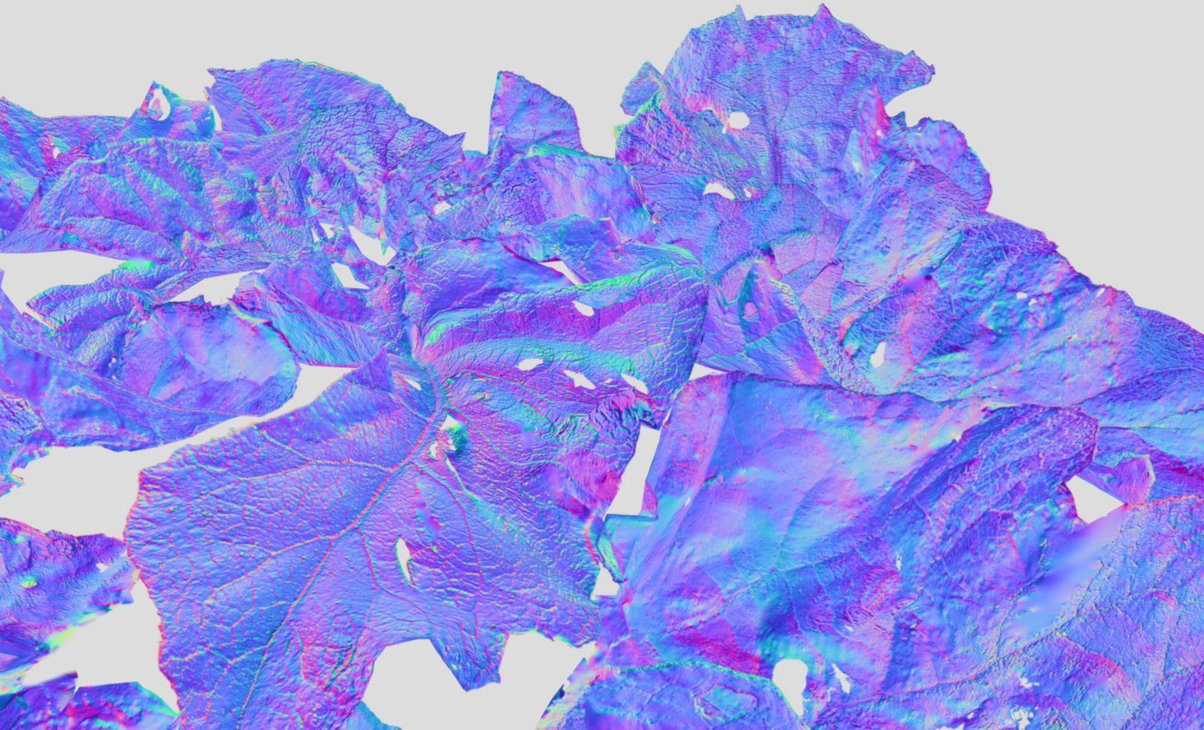 Burdock big leaves Low-poly 3D model_39