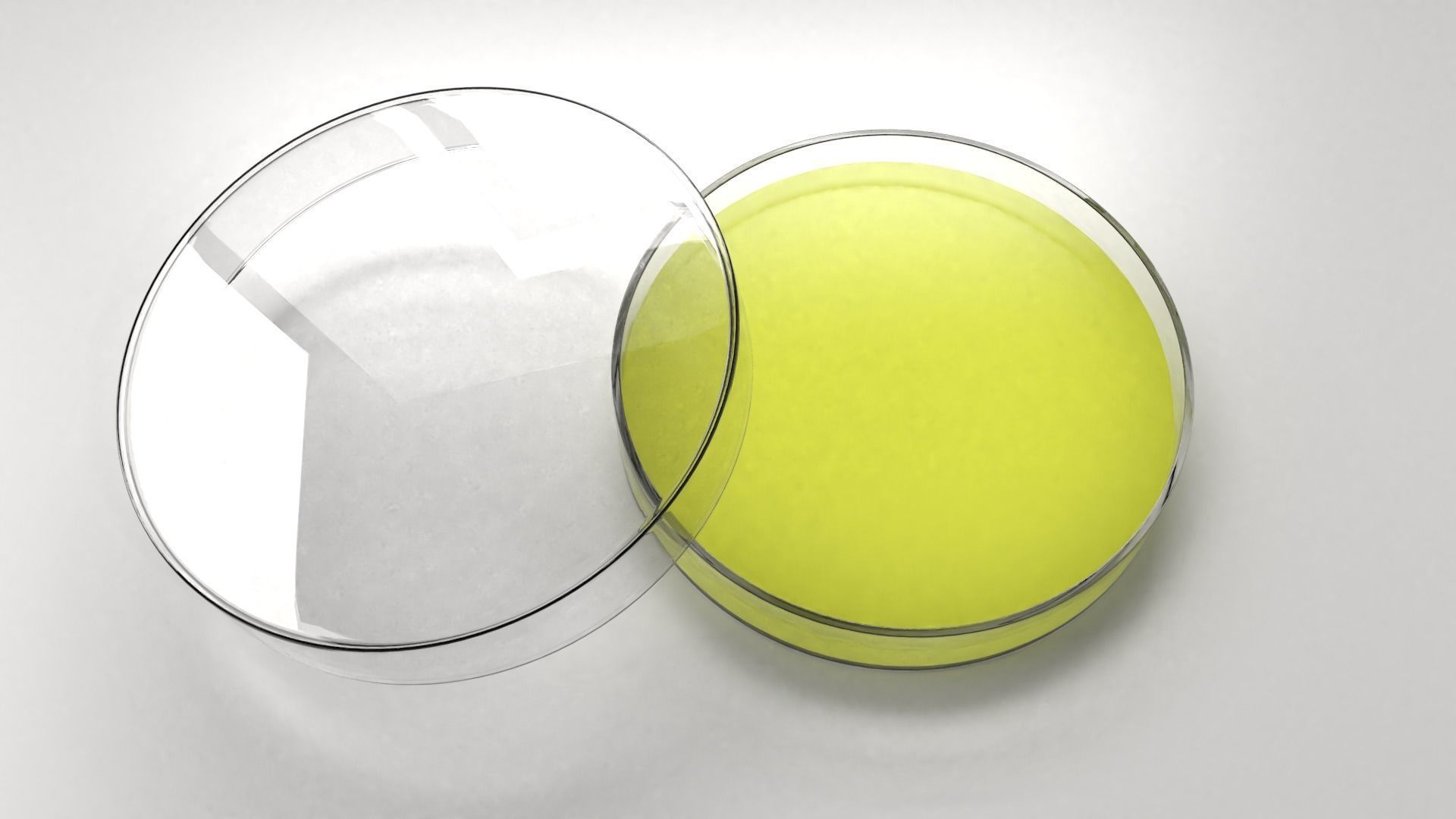 Glass Petri Dish with Agar 2 3D model_2