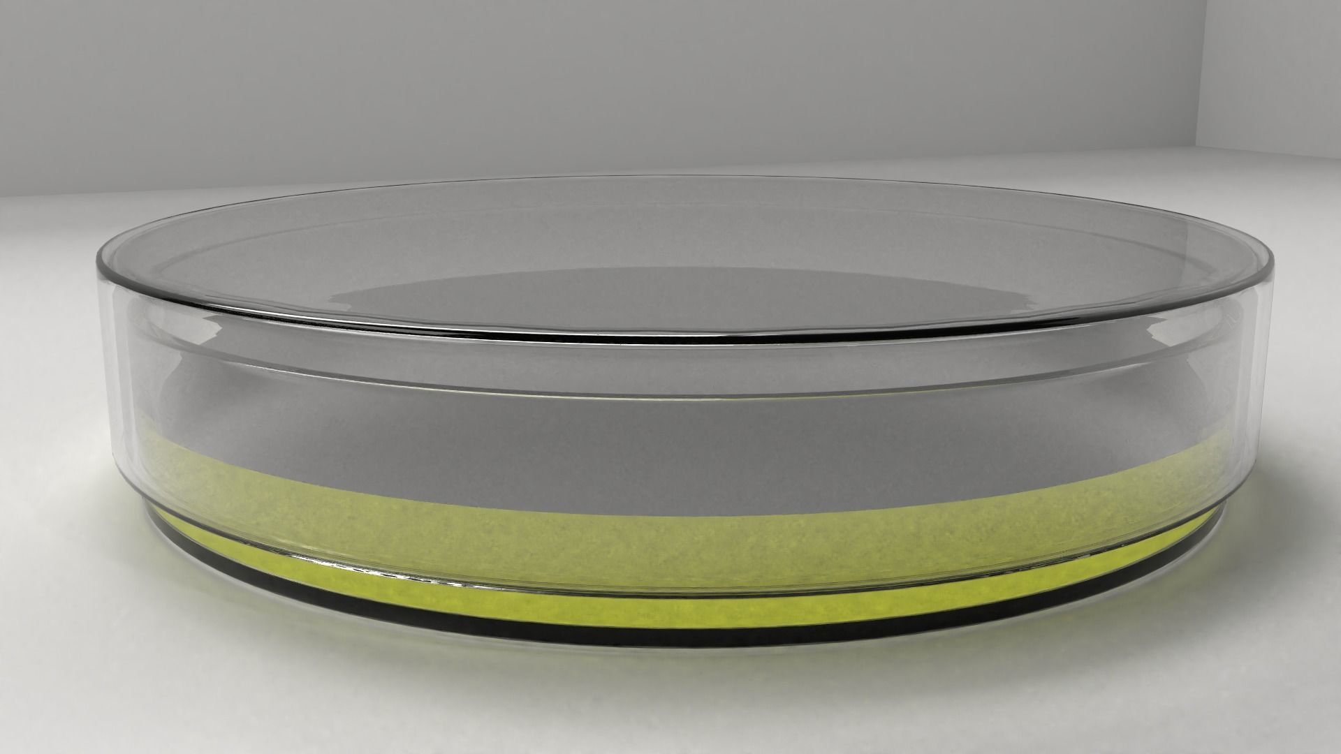 Glass Petri Dish with Agar 2 3D model_1