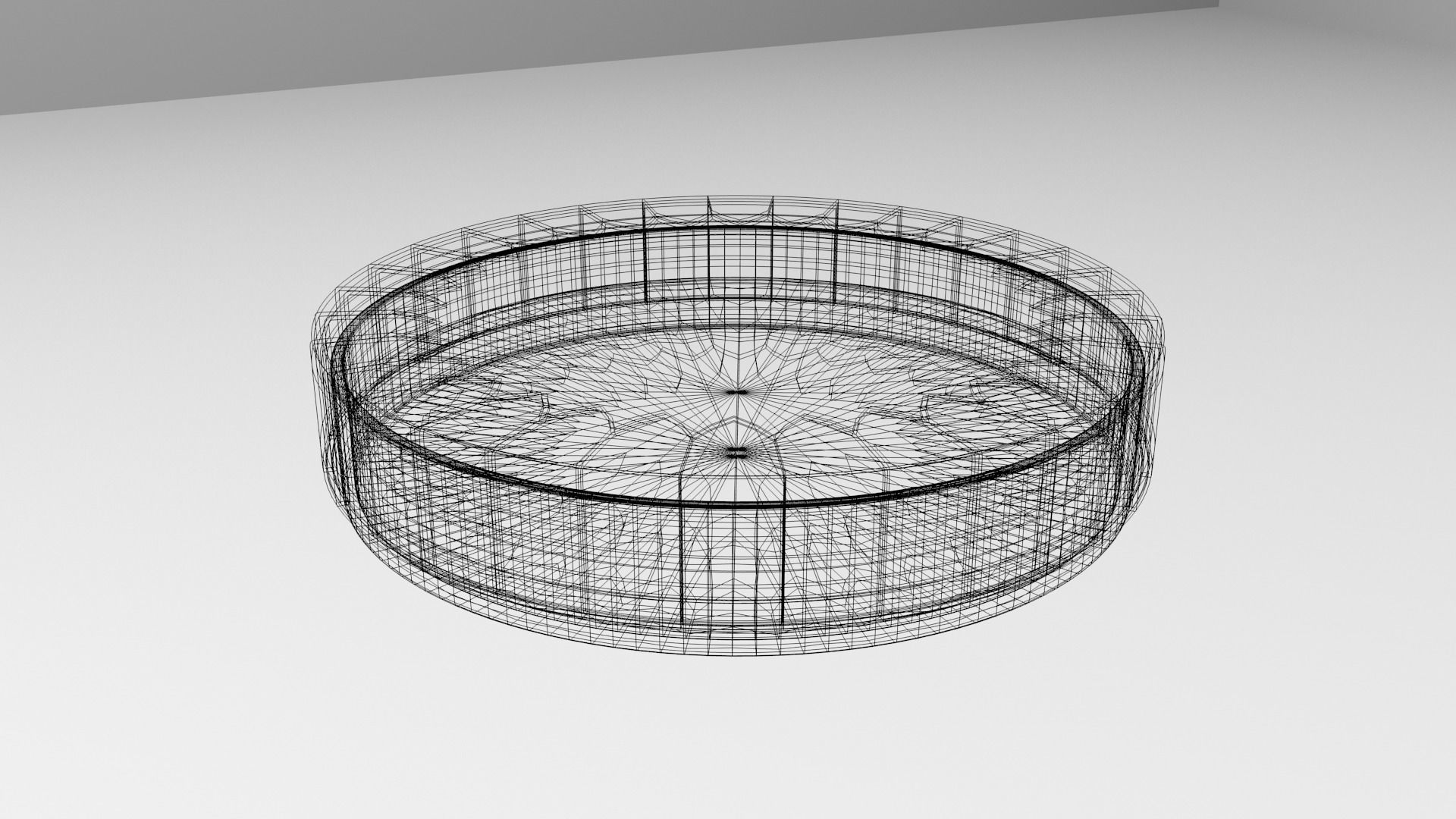 Glass Petri Dish with Agar 2 3D model_4