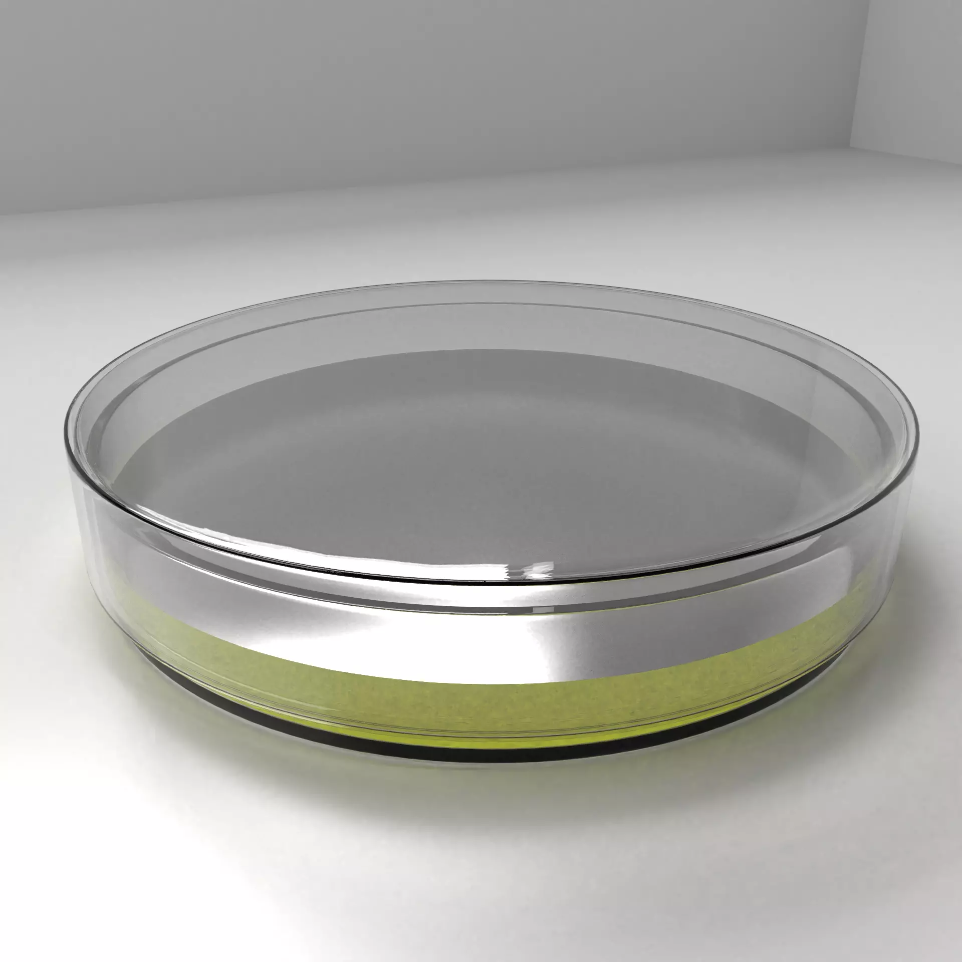 Glass Petri Dish with Agar 2 3D model_0