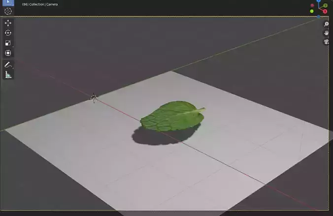 Mintleaf mint leaves