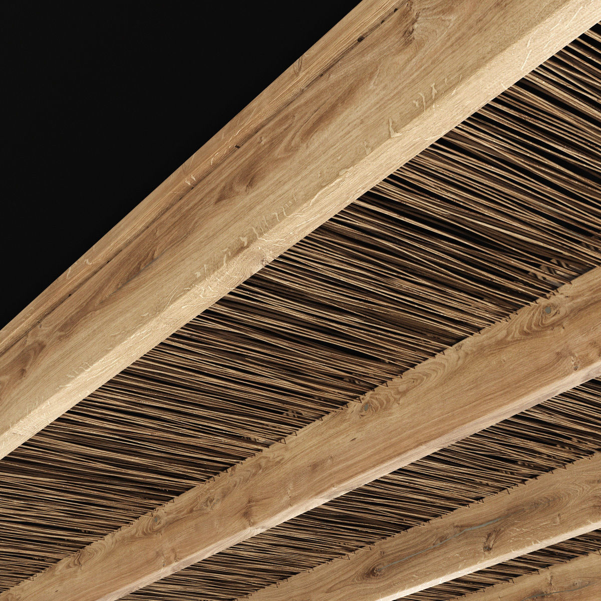 Ceiling canopy thin branch 3D model_7