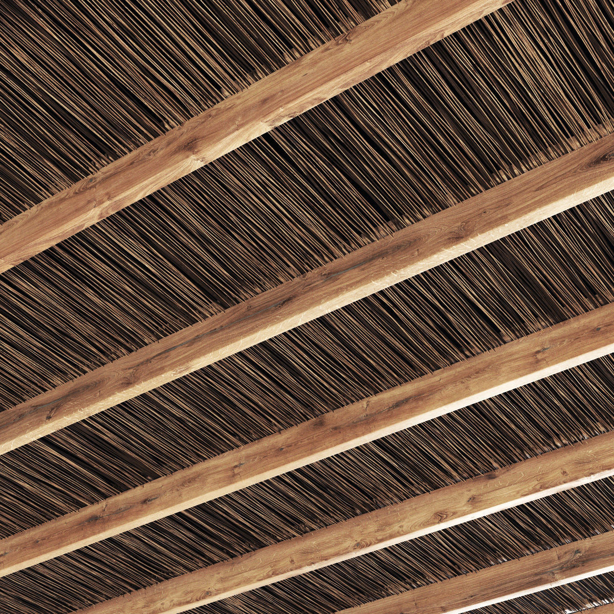 Ceiling canopy thin branch 3D model_1