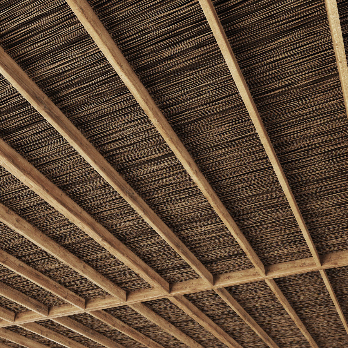 Ceiling canopy thin branch 3D model_2