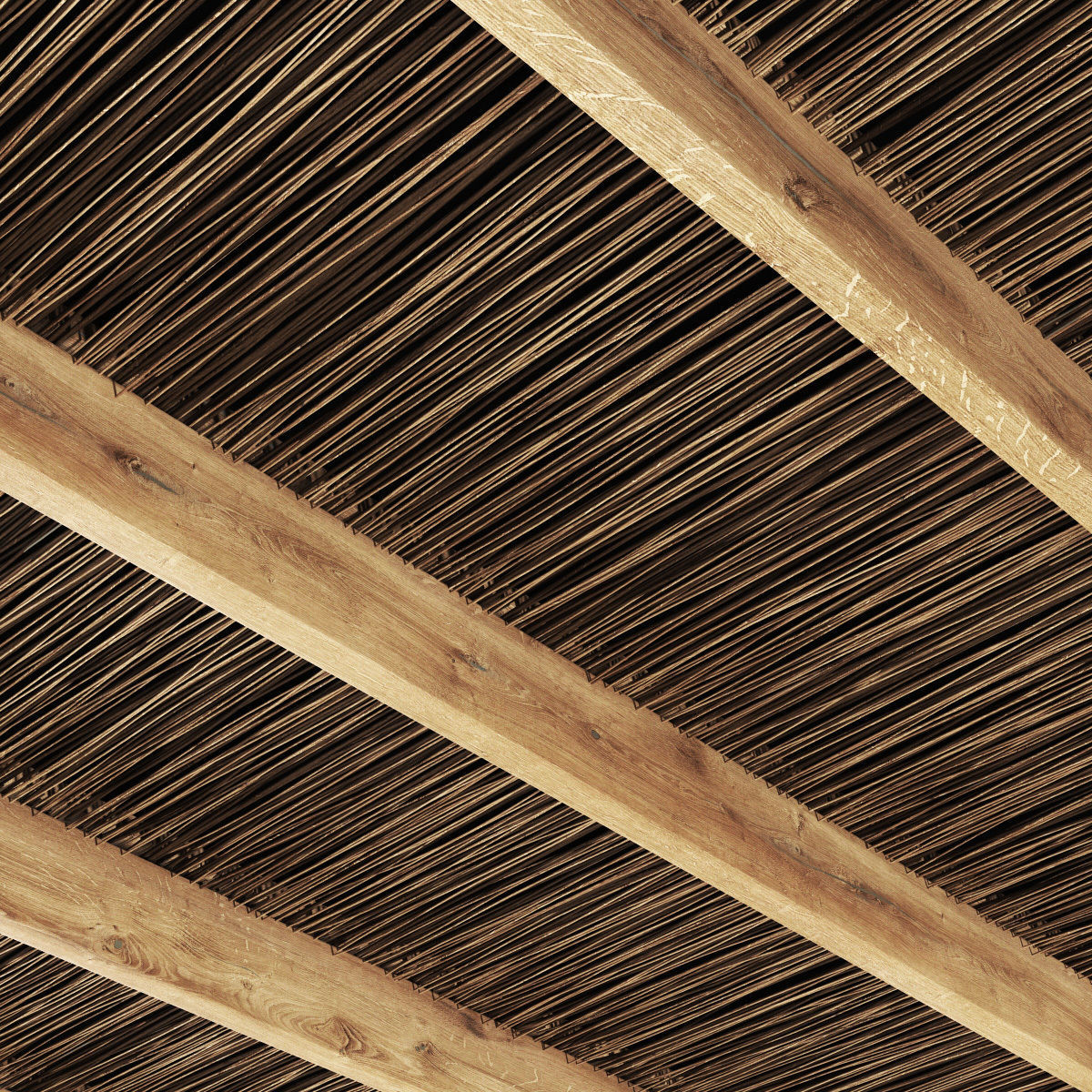 Ceiling canopy thin branch 3D model_6