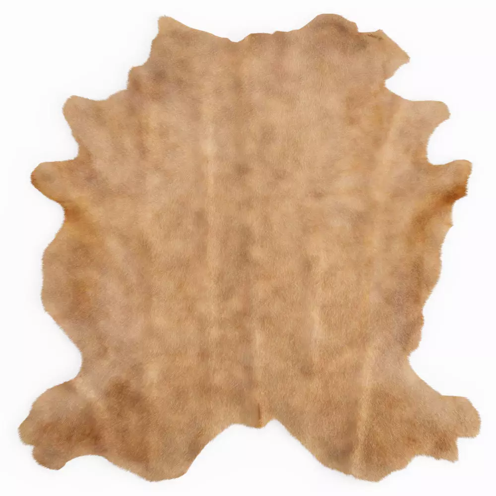 Beige Cow Hide Rug 3D model_0