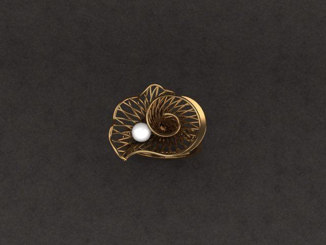 BEAUTIFUL NOCTA RING 3D print model_2