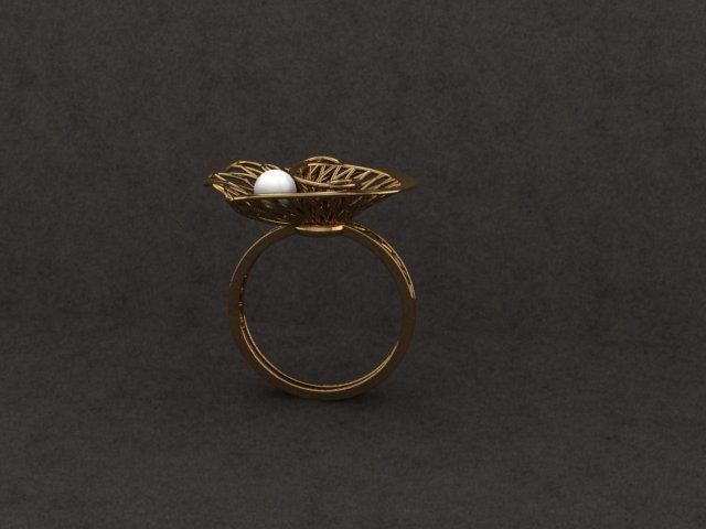 BEAUTIFUL NOCTA RING 3D print model_1