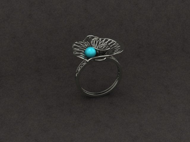 BEAUTIFUL NOCTA RING 3D print model_3
