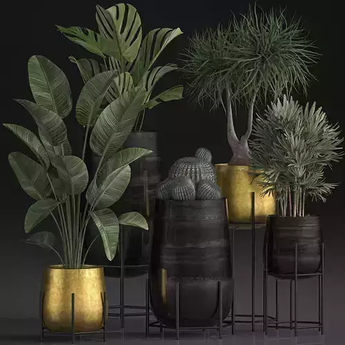 Decorative plants in Luxury Gold Pots for the interior 545