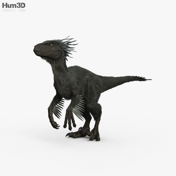 Raptor HD