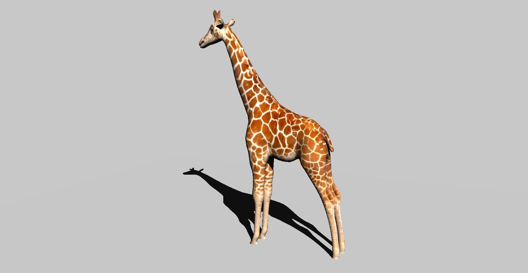 giraffe 3D model_3