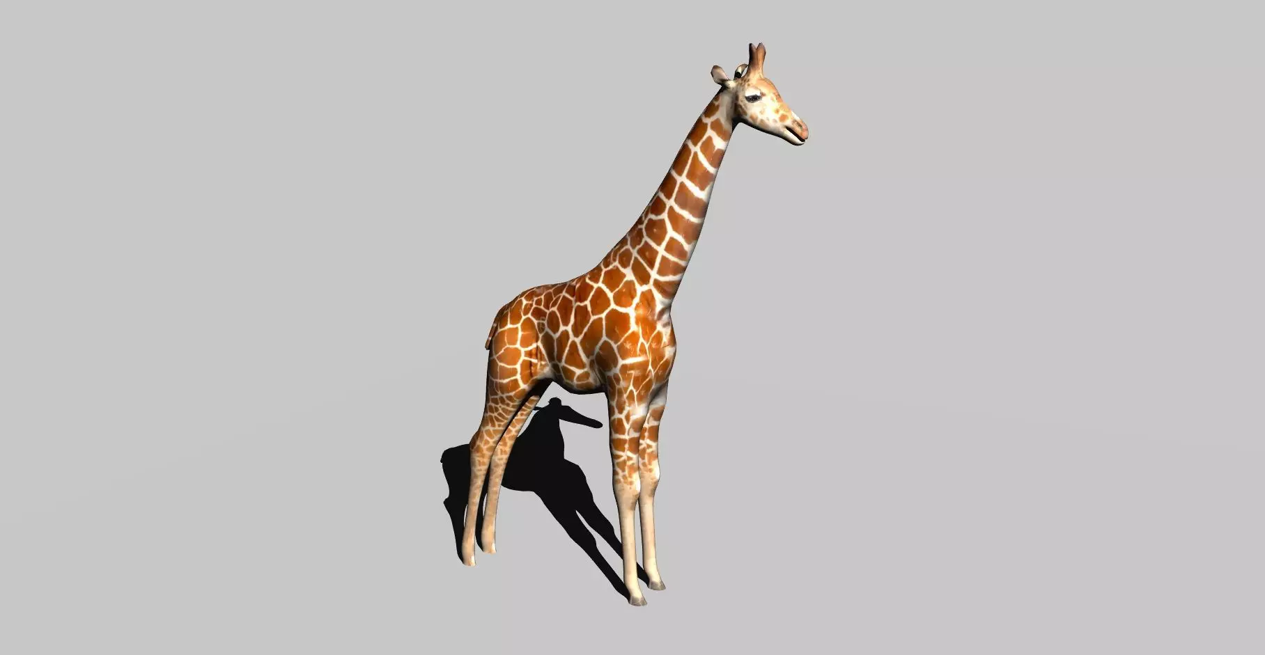 giraffe 3D model_0