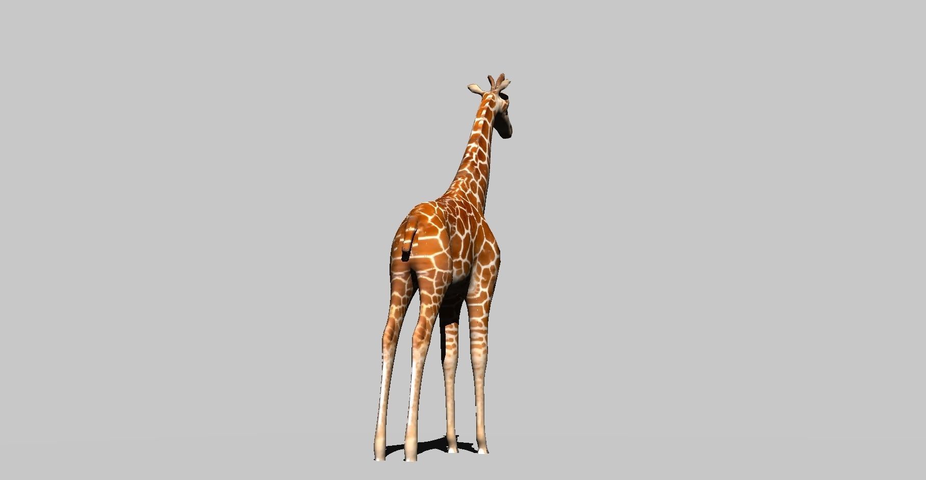 giraffe 3D model_10
