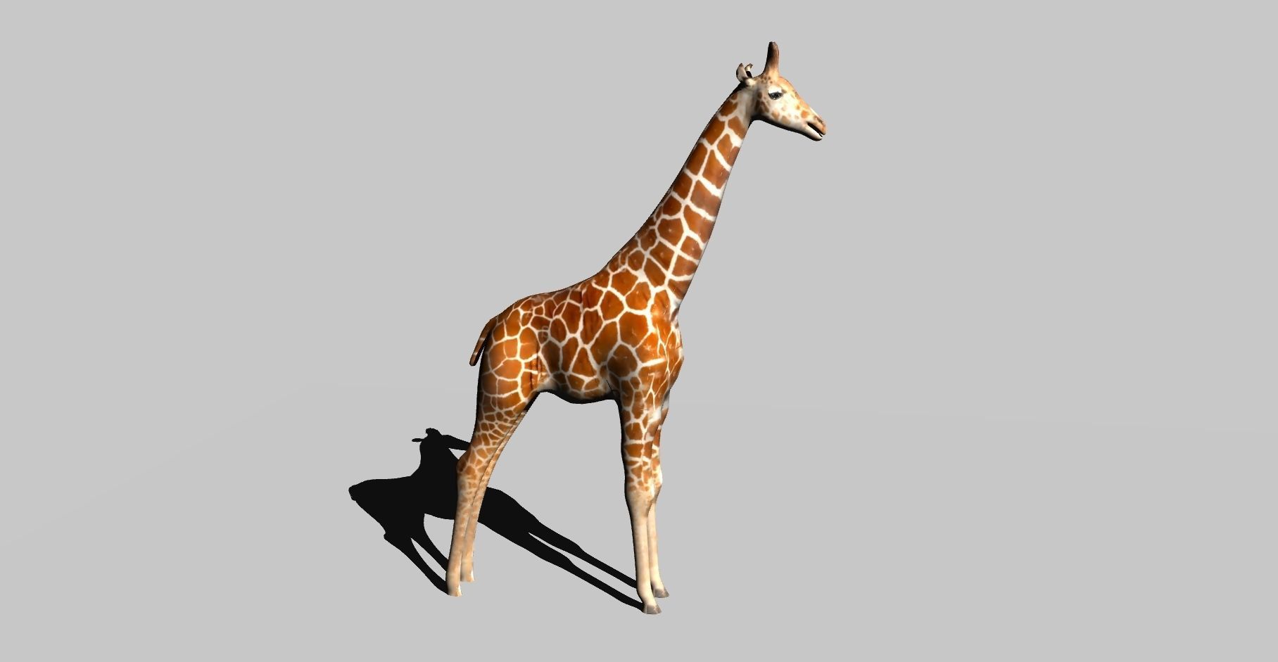 giraffe 3D model_2
