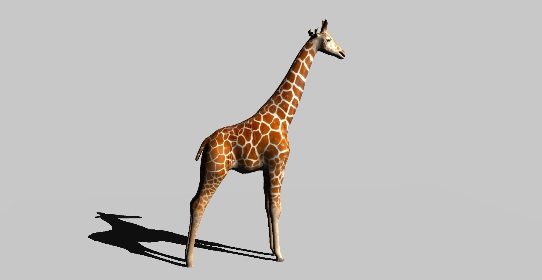giraffe 3D model_4