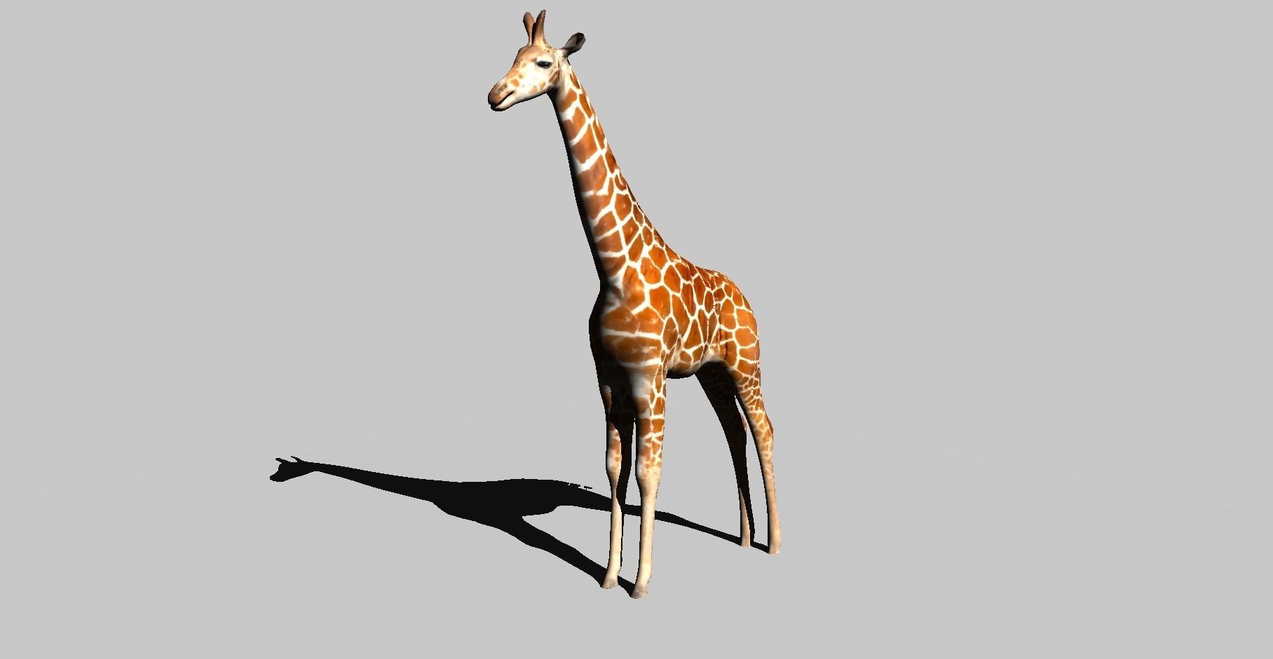 giraffe 3D model_9