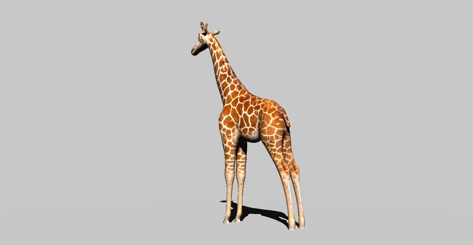 giraffe 3D model_7