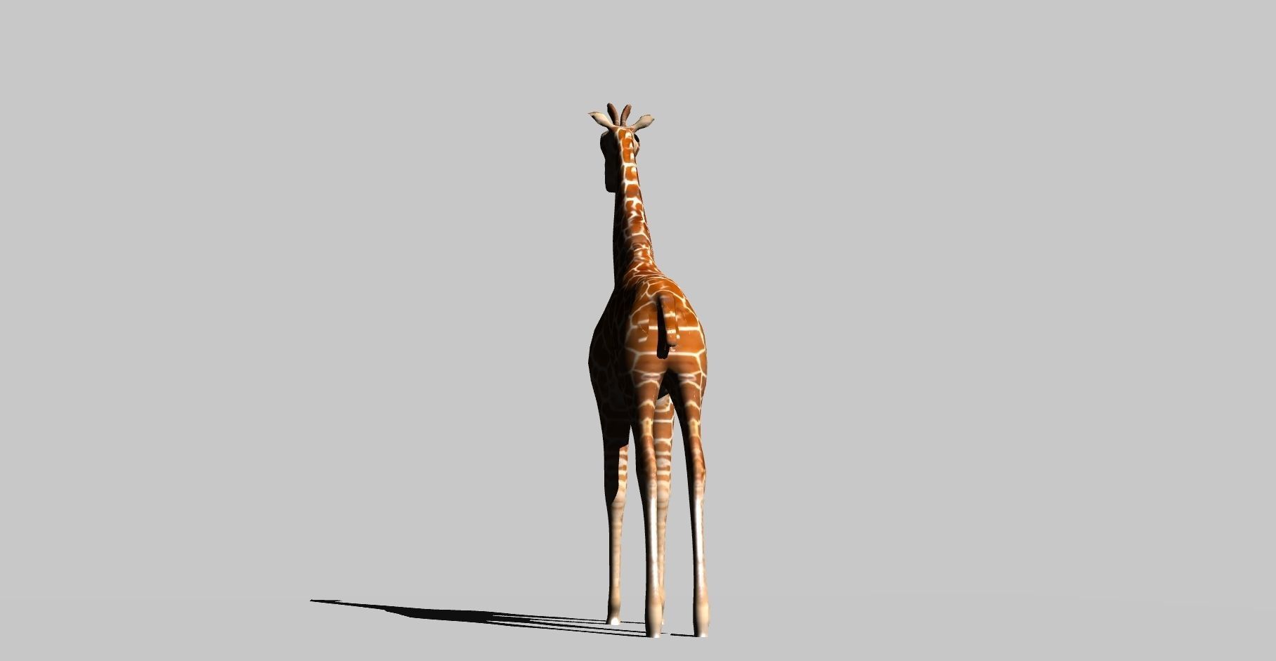 giraffe 3D model_11