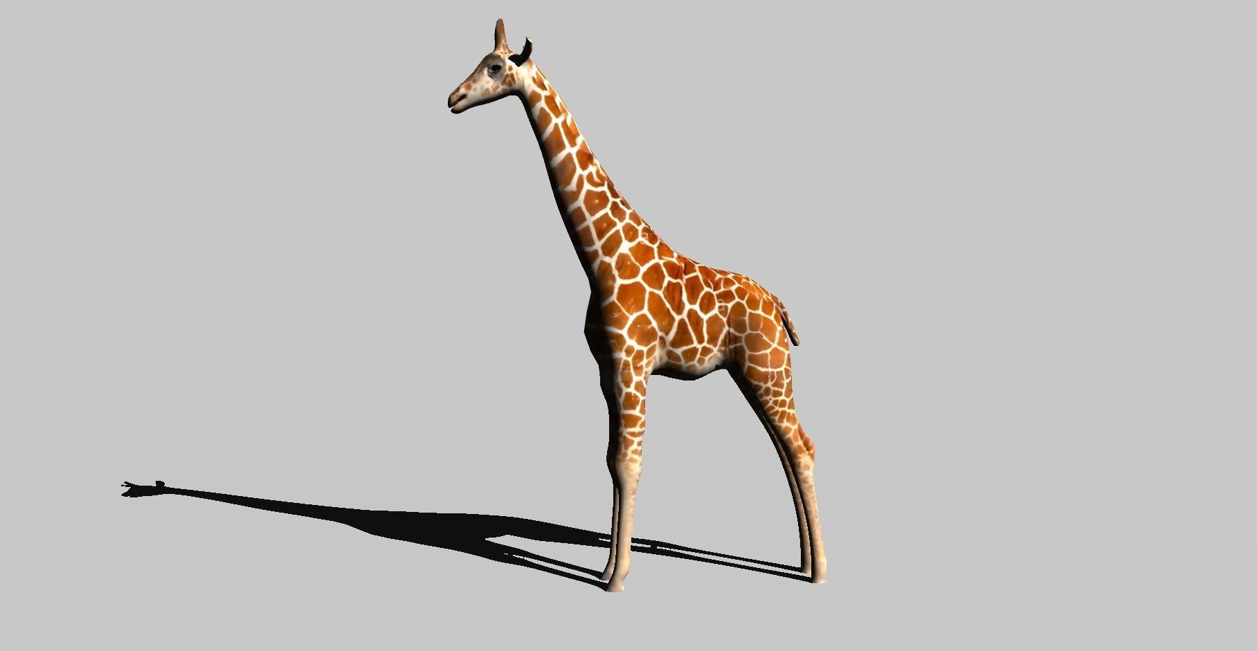 giraffe 3D model_5