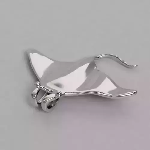 Dije mantarraya  I said stingray