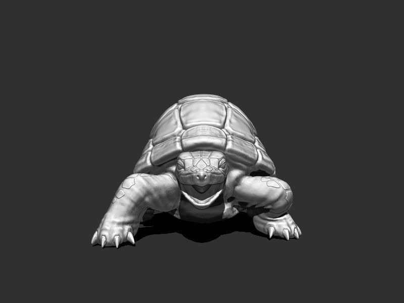 3D Turtle for Printing 3D print model_4