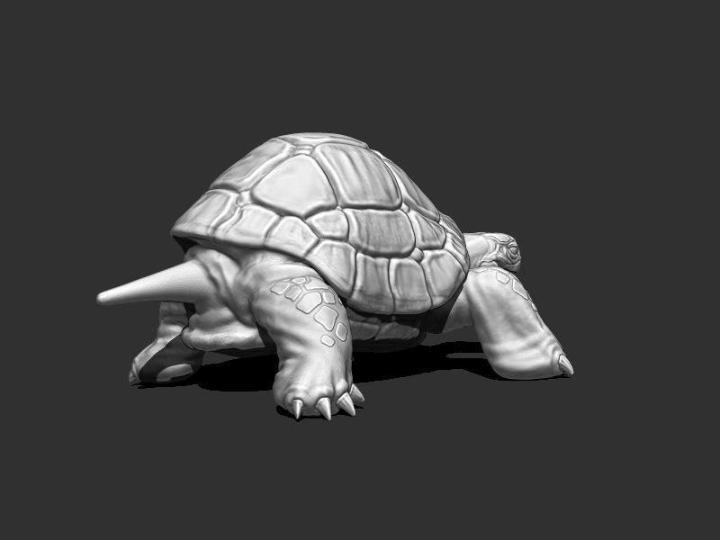 3D Turtle for Printing 3D print model_6