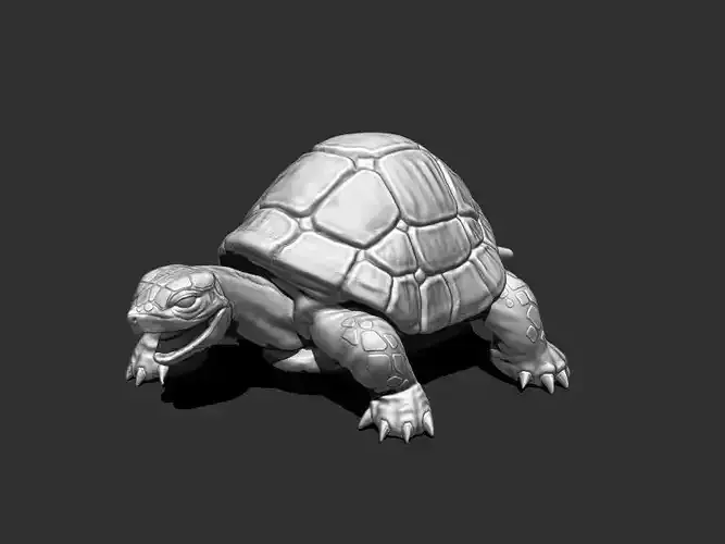 3D Turtle for Printing 3D print model
