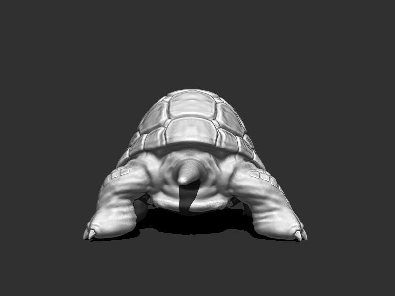 3D Turtle for Printing 3D print model_2
