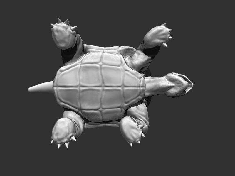 3D Turtle for Printing 3D print model_7