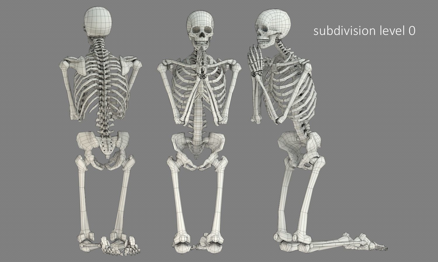 Human skeleton Low-poly 3D model_14